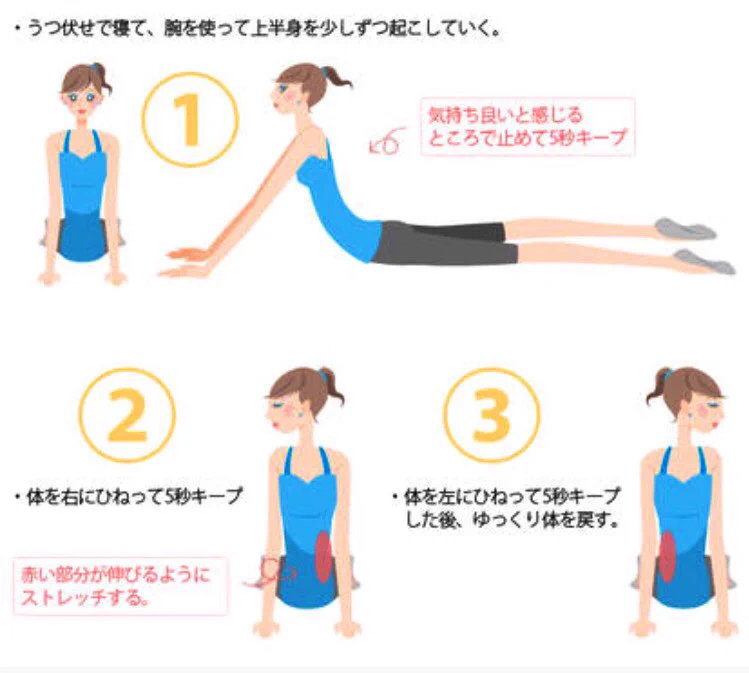 マジで死ぬほど効くくびれエクササイズｗｗｗドラム缶体型はやるべし！