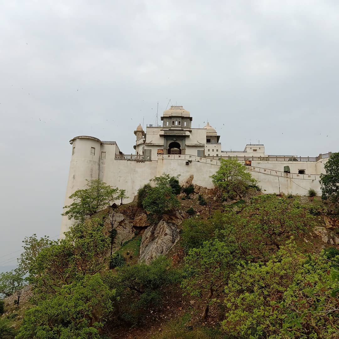VijayKumarKoli3's tweet photo. The smallest sanctuary of Rajasthan i.e. Sajjangarh Wildlife Sanctuary blooming in monsoon. https://t.co/ELBVwB6cck