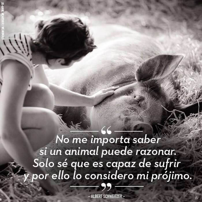 LinkedValues's tweet image. No es la capacidad de razonar, sino la de sentir, la que nos hace empatizar como iguales