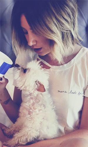 maui_lovebug's tweet photo. I don’t know what to say. 
I’m sorry to hear about your family maui ’s passing.
You and your loved one will be in my thoughts and prayers. I can’t imagine how you feel.
I’m here for you.
#maui 
#ashleytisdale 
#christopherfrench https://t.co/TuT4Ql7te7