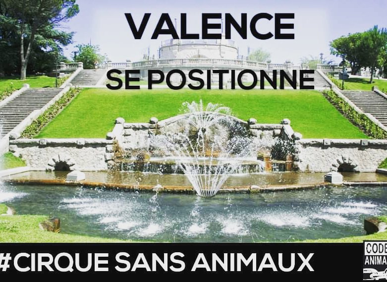 VICTOIRES / CIRQUE📣
HISTORIQUE 🐯
Donc si on résume la soirée d'hier, <a href="/VilledeValence/">Valence</a> et <a href="/dijon/">Ville de Dijon</a> - grandes villes de #France sont entrées dans l'Histoire par un voeu symbolique en demandant au <a href="/gouvernementFR/">Gouvernement</a> d' <a href="/EmmanuelMacron/">Emmanuel Macron</a> de légiférer pour des #cirqueSANSanimaux 🐘
<a href="/FdeRugy/">François de Rugy</a>