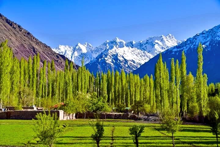 Mountain landscape view from Tawous Yasin valley , Ghizar District Gilgit Baltistan, Silk Road. 

#GilgitBaltistan #HighAsia #SilkRoad 
#YasinValley #GhizerDist @GBpak 
@Gilgittheheaven @PakistanNature