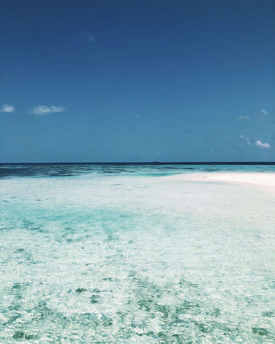 DriftRetreat's tweet photo. Sparkling ✨

#DriftRetreat #Maldives https://t.co/tnnM9MDRMu
