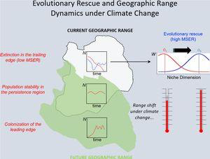 Jean Paul Metzger 🚴🏻♂️ (@jp_metzger) on Twitter photo Will life find a way out? Evolutionary rescue and Darwinian adaptation to climate change - new manuscript from <a href="/jose_dinizfilho/">José Alexandre Felizola Diniz-Filho</a> and Luis Bini at <a href="/PerspectEcolCon/">Pecon_elsevier</a>; perspectecolconserv.com/en-will-life-f… Will life find a way out? Evolutionary rescue and Darwinian adaptation to climate change - new manuscript from <a href="/jose_dinizfilho/">José Alexandre Felizola Diniz-Filho</a> and Luis Bini at <a href="/PerspectEcolCon/">Pecon_elsevier</a>; perspectecolconserv.com/en-will-life-f…