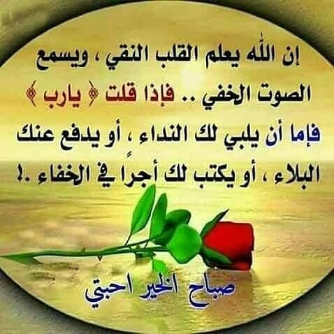 خادمه الزهراء (@haedarnore3) on Twitter photo 