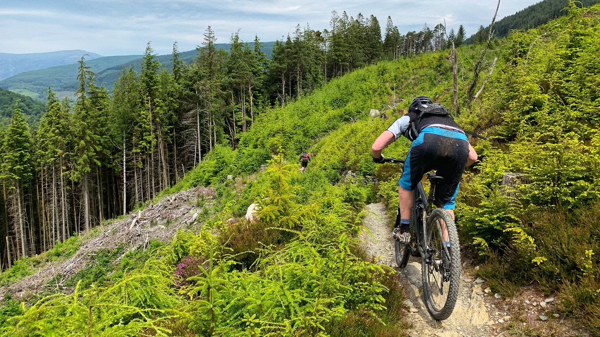 #Wales has the finest network of dedicated mountain bike forest trails anywhere in Europe, and it’s not hard to see why!! #findyourepic #mtb #cycling #thisismywales 🏴󠁧󠁢󠁷󠁬󠁳󠁿