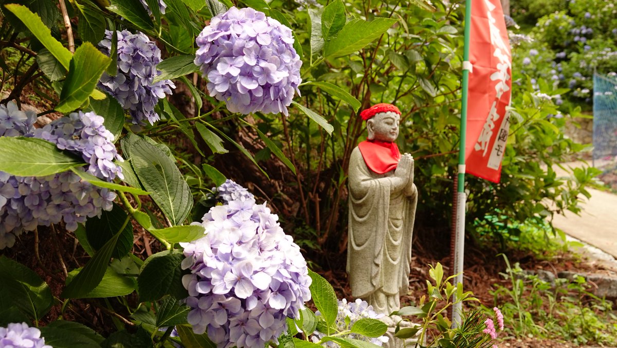 広瀬駿 気象予報士 日曜日は紫陽花を見に 和歌山県へ 救馬渓 すくまだに 観音内にある あじさい曼荼羅 園 敷地が渓谷みたいになっており 斜面一面に色とりどりに咲く紫陽花は迫力がありました 今週いっぱいは見頃のピークが続くとのことです 救 広瀬駿 気象予報士 日曜日は紫陽花を見に 和歌山県へ 救馬渓 すくまだに 観音内にある あじさい曼荼羅 園 敷地が渓谷みたいになっており 斜面一面に色とりどりに咲く紫陽花は迫力がありました 今週いっぱいは見頃のピークが続くとのことです 救