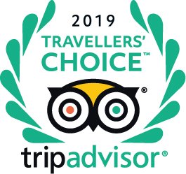ShamrockerAdventures tweet media