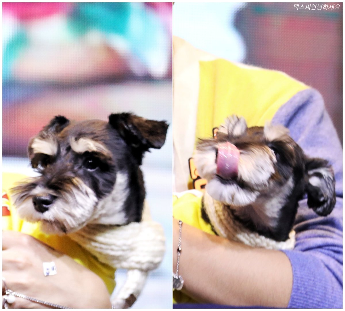 #지훈이의메이_지니스밍해 

지훈이에게 영광의 기록을 선물해주는 메이들과 언제나 메이에게 최고의 모습을 선물해주는 #박지훈

우리 너무 멋있어요👏👏👏맥스도 ㅅ밍해🎧

🔥메이님들 얼른 스밍해요🏃‍♂️🏃‍♀️🔥