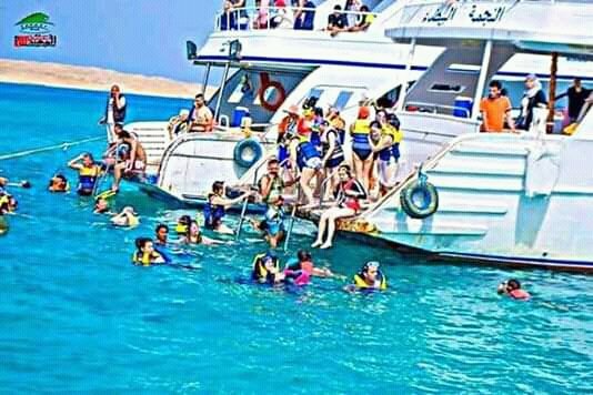 aamr40944's tweet photo. حلم حياه 😍😍
النهارده آخر يوم فى حجز رحله الغردقه 
ياله قبل ماتطلع النتيجة 
لو حابب تعرف التفاصيل خاص😙😘😚 https://t.co/LqBOG9qmWa