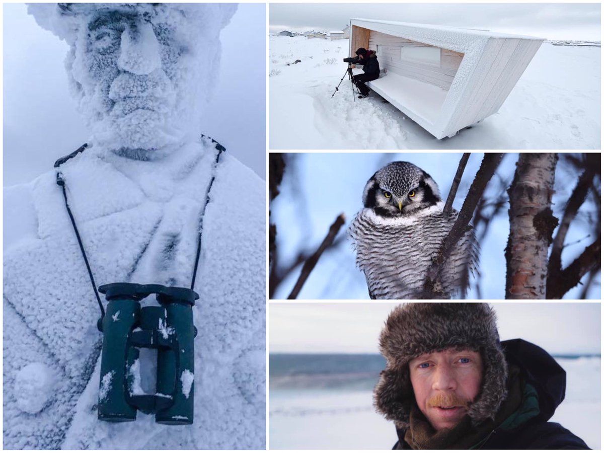 Biotope_Tormod's tweet photo. "Arctic birding &amp; birding architecture" - Looking forward to speaking at Falsterbo Birdshow 2019, at their 10 year anniversary! Also very excited to see Falsterbo in autumn migration mode 🙂 https://t.co/YkR8cVlu4i https://t.co/Fjip4Ik0Hl