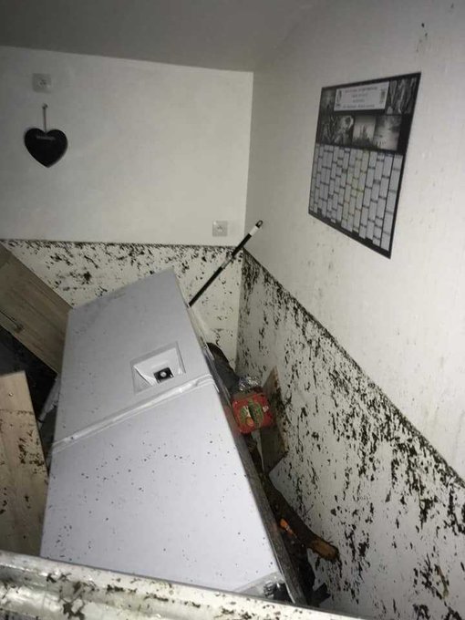 View image on Twitter