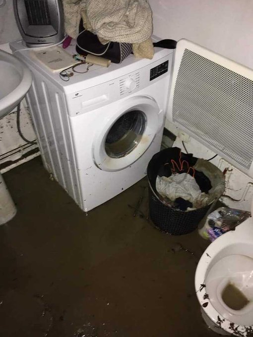 View image on Twitter