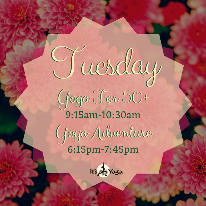 ItsYogaOhio's tweet photo. Take time this Tuesday to care for yourself. 
"Your soul is your best friend. Treat it with care, nurture it with growth, feed it with love." – Ashourina Yalda
#itsyogacincinnati #cincinnatiyoga #mindfulness #asanasforall #yogayourway #yoga #selfcare https://t.co/bIOg5MPxrh
