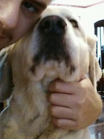 RachelBassell's tweet photo. Anyway folks, I’ve started a collection entitled: The Distressed Animals of Tinder

Enjoy https://t.co/EirhfEhe9X