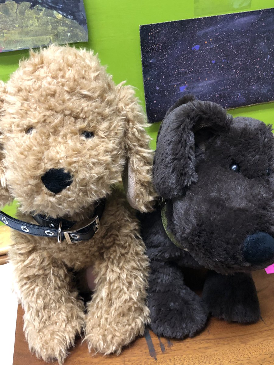 ERPublicLibrary's tweet image. If you like our library pups, why not check one out yourself! We have some that you can check out to take home to take care of for a little while! #librarypups