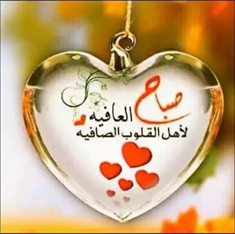 أحمد خليفة (@ahkhe33) on Twitter photo 