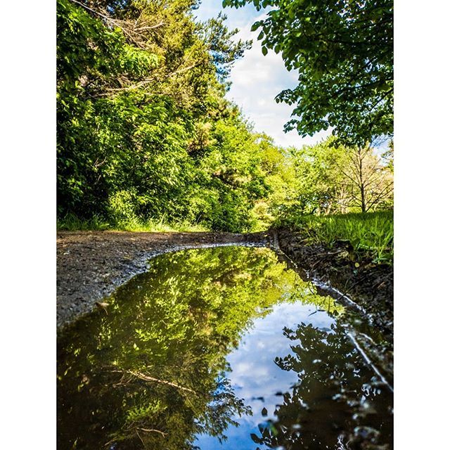 VONJAKO's tweet image. &quot;Mont Royal&quot; photo by @vonjako #mountroyal #montreal #pondreflection #mountroyalpark  #canada #quebec #samsungphotography #samsungs9 #samsungitalia #natgeo #thephotosociety #lightroomphotography #waterreflection