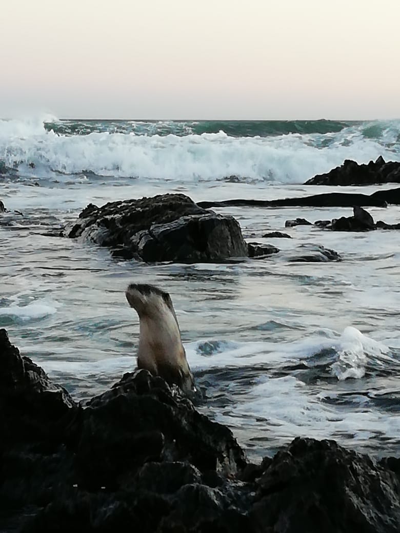 Ixio Analytics tweet media