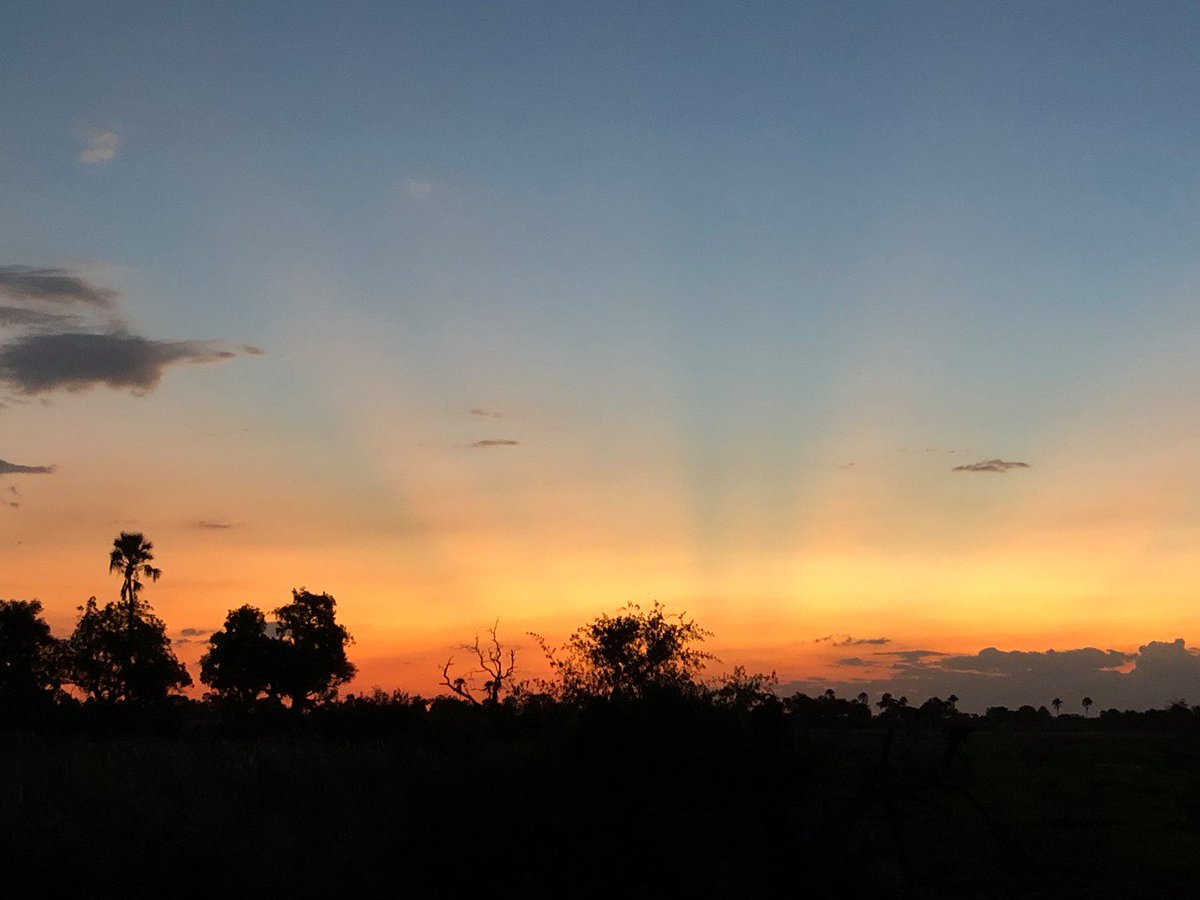 lelobusafaris's tweet photo. Fantastic photos sent in by client Marianne, we cant wait to welcome you and our family back to Botswana

#love #travel #explore #mokoro #happy #delta #deltaadventure #walking #safari #walkingsafari #botswana #botswanasafari #nature #wildlife #family #familyholiday #lelobusafaris https://t.co/zdxdOfQfZM