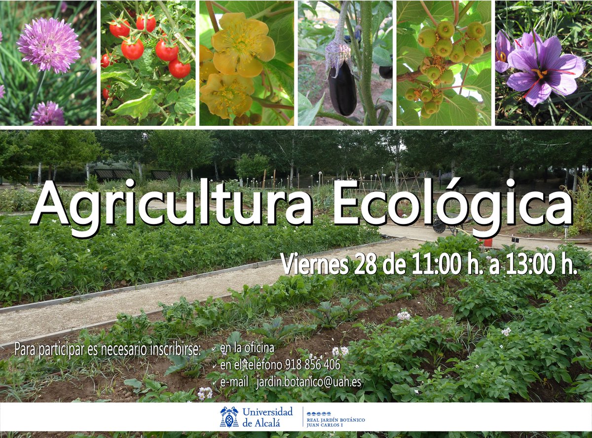 UAHes's tweet photo. ¿Te interesa la agricultura ecológica? No te pierdas esta visita de @botanicoalcala, un recorrido guiado por su Huerta donde aprenderás las principales labores de cultivo bajo la normativa del Comité de Agricultura Ecológica de Madrid. ¡Te esperamos! https://t.co/KZhMsTQtFG https://t.co/lNKjuIRX1p