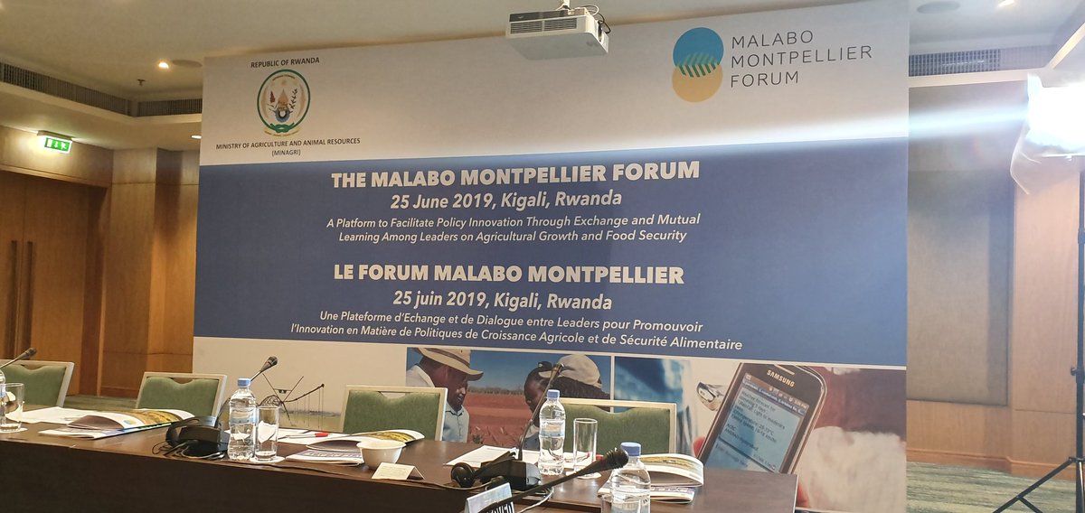 DebisiAraba's tweet photo. We're about to kick off the Malabo Montpellier Forum here in #Kigali, where we are launching our latest report on Policy Innovations for Transforming #Africa's Food System with Digital Technologies #ByteByByte #MaMoReport @MamoPanel https://t.co/aZCZU7Nwpy