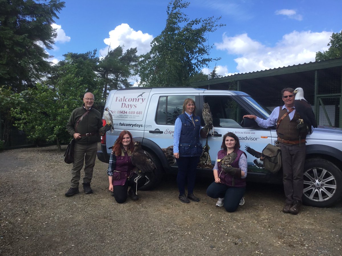 Falconry Days.com tweet media
