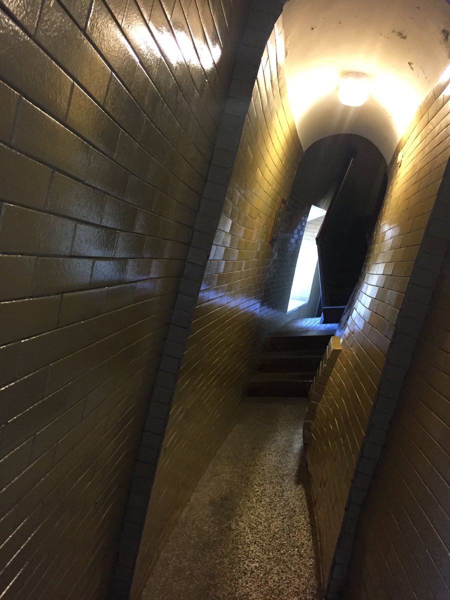 InOlivers's tweet photo. Laurie and Katy ventured out early to climb the dome at St Peter’s. https://t.co/OslhTgQY0d