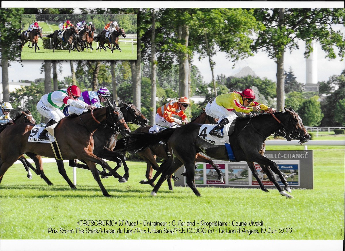 EcurieVivaldi's tweet photo. Sympa de recevoir au courrier les photos "officielles" de la victoire de notre #Trésorerie dans sa listed au Lion d'Angers la semaine dernière @coursesdulion https://t.co/6dl3hx5mIC