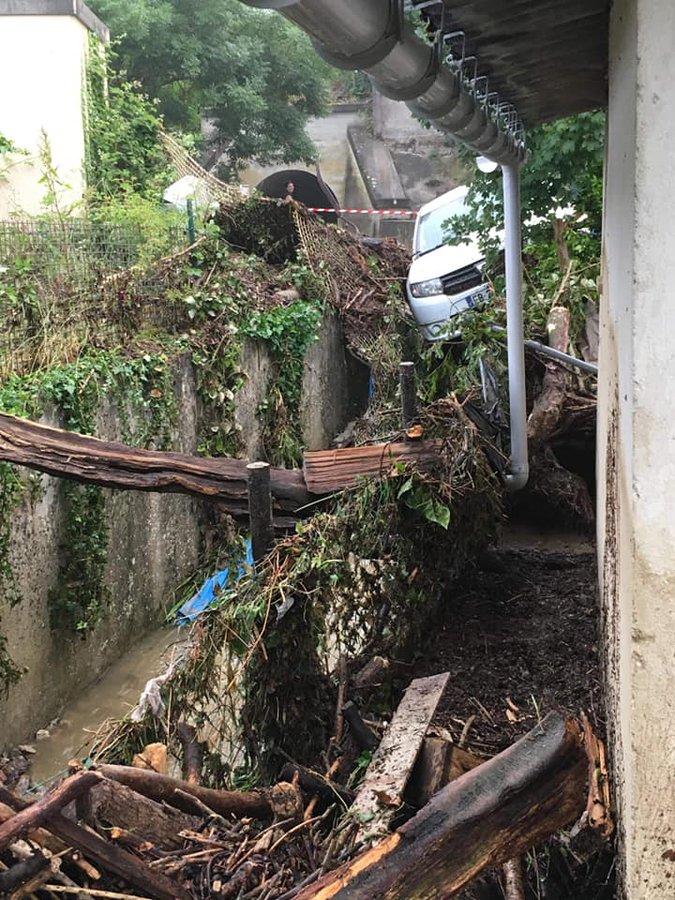 View image on Twitter