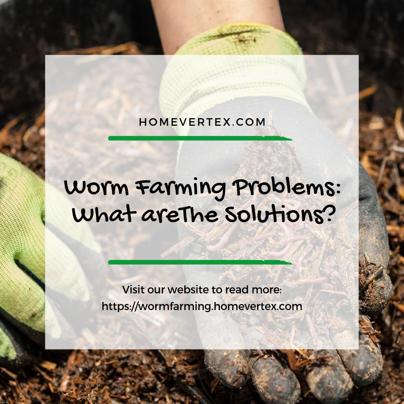 homevertex's tweet photo. Worm Farm Problems: What Are The Solutions?

Visit our website to read more info on worm farming problems:
https://t.co/gf9wMV5At2

#homevertex #wormfarming #wormfarmingproblems #wormfarmingsolutions https://t.co/2uAyXNorQV