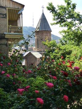 View image on Twitter