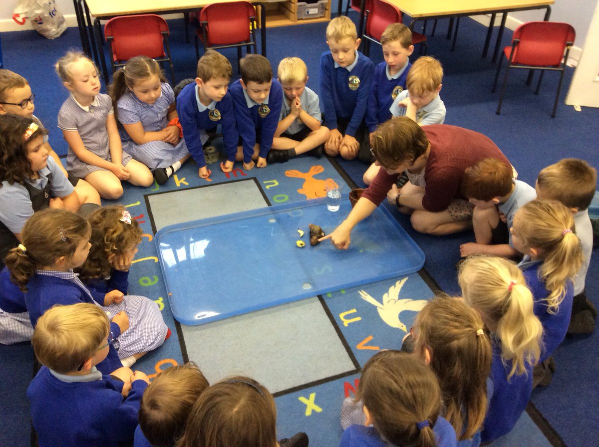 AUH_school's tweet photo. Day  25 of our #30dayswild  challenge and the children met Gary the African land snail and found out all about his diet and natural habitat. https://t.co/ajGrSI39GQ