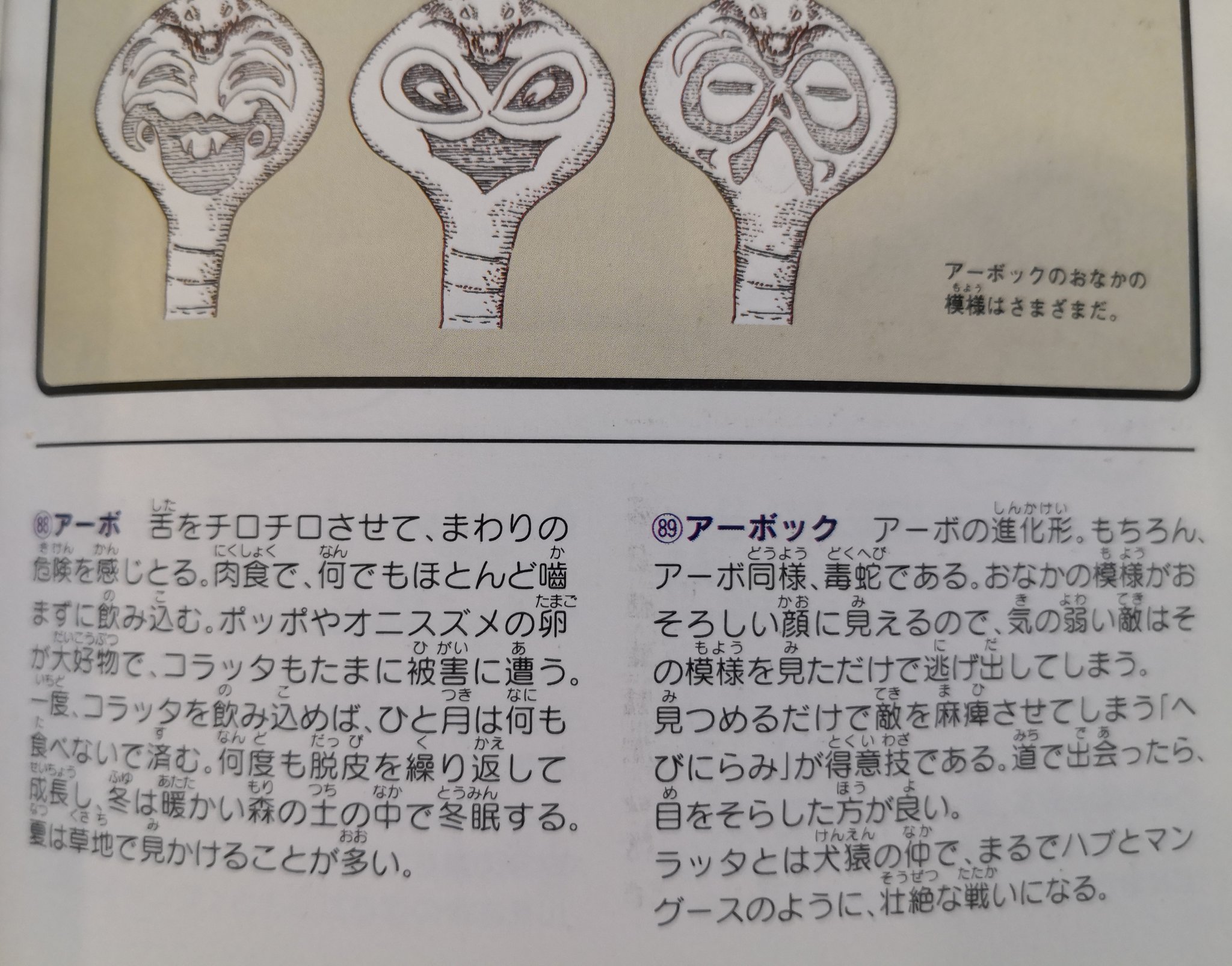 たかさおじさん 図鑑になく攻略本のみの情報だけど 初代の時点で ラッタとアーボックに ハブとマングースのような関係性を盛り込みたかった感じ 後年 ザングースとハブネークとして昇華 さらにもう一周まわると 逆に対コラッタとしての ヤングース