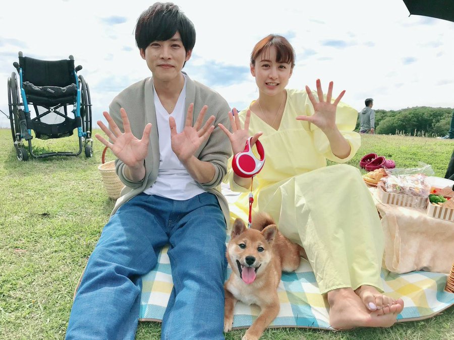 パーフェクトワールド 最終回あらすじネタバレ つぐみと樹の結婚式に感動 見逃し動画を全話無料で視聴できる方法は ガールズアワー Girls Hour