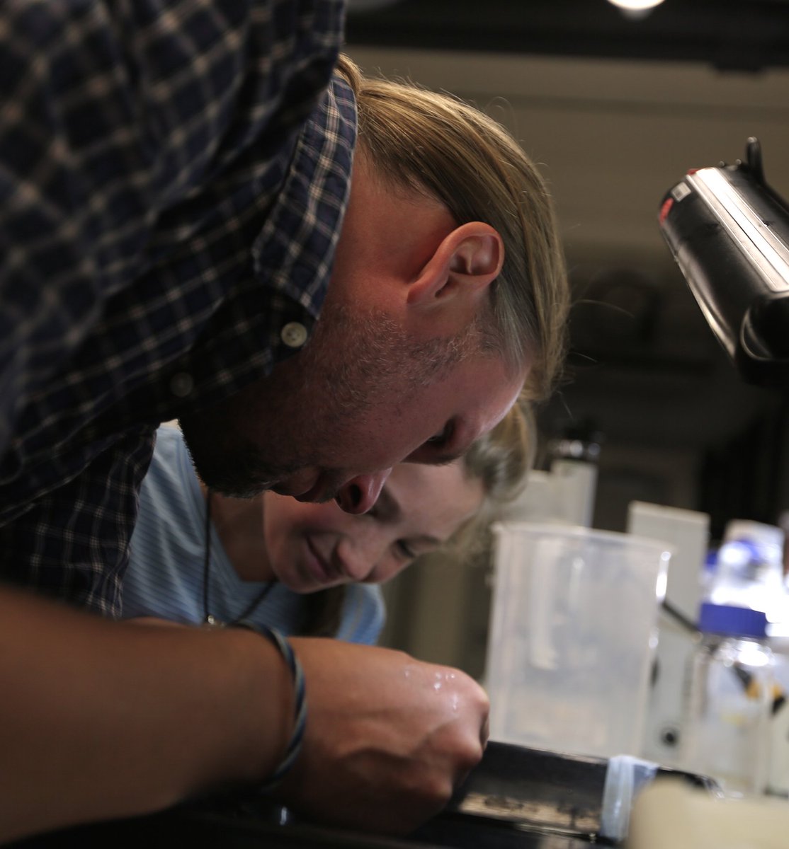 MarineMicrobio's tweet photo. Jungforscherin Svenja ist wieder @MarineMicrobio und ist jetzt auf der Suche nach winzigen #Olavius Würmern - wir sind gespannt, was sie alles findet! @alex_gruhl #WomeninSTEM #MachMINT #MINT #Jugendforscht @SoerenAhm @BiogeoMPIBremen @Chemosym @Habitat_MPI @maxplanckpress https://t.co/eWOBhaxxEP