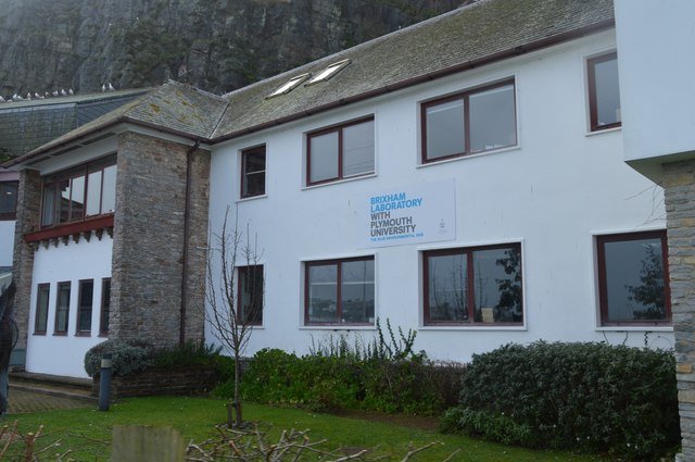 BrixhamLab1's tweet photo. Check our website to discover more about us! 😉#brixham #brixhamlab #Torbay  https://t.co/202vuIX34B https://t.co/a5Xxpcebb9