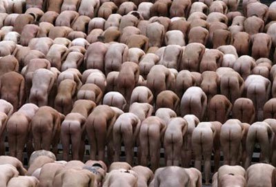 LinkedValues's tweet image. ¿Eres un LEMMING en tu Empresa?  👉 bit.ly/1hjzrxs