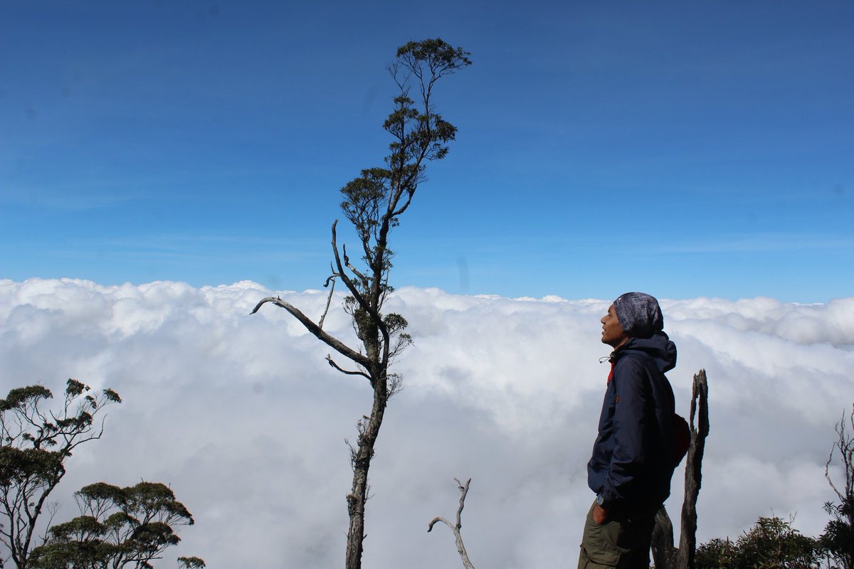 arminteti3's tweet photo. #GunungMutis #2427mdpl #soetts #mipala 
@MIsezATB @MIsezKupang @ulgadflobamora @MIPALA_ https://t.co/mh8Aa5euRo