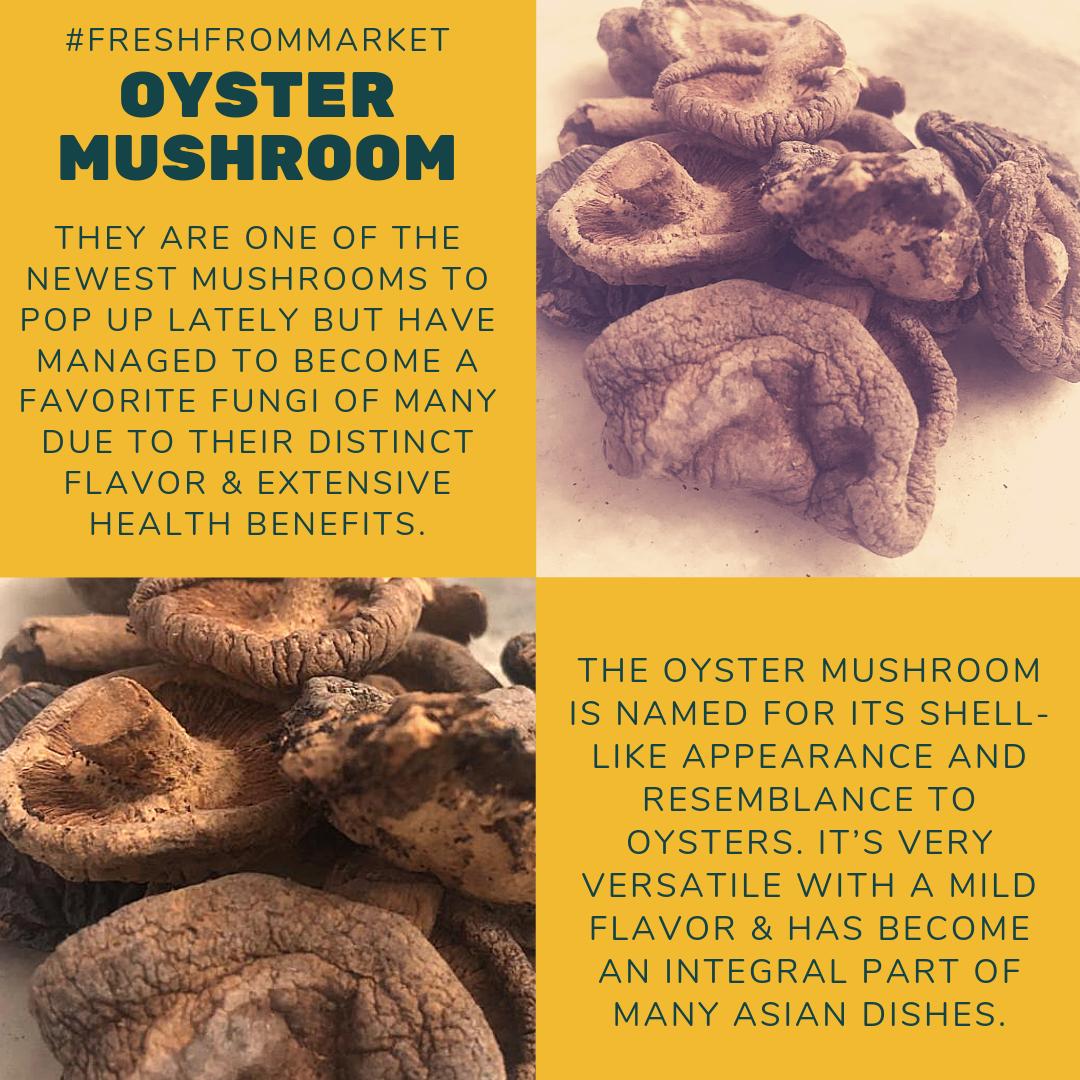 chefananya's tweet photo. This Tuesday bringing 2 u all from the #FreshFromMarket these tasty and healthy oyster mushrooms which has become an integral part of many Asian dishes.
@goorganicmumbai @indranisen @_ShriBala @FoodBloggerAI @salloni
@akshayam21 @MohantySweta @RPDeoli @indranisen @anishdeshmukh https://t.co/mZgORew9Ke