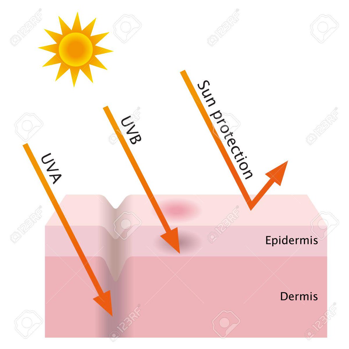 PCientific's tweet photo. Si encara no en teniu prou, us deixo més raons per protegir-te
👉https://t.co/uVZNdnANYD

I us convidem a parlar-ne el dia 3! https://t.co/mdriMGeV4w