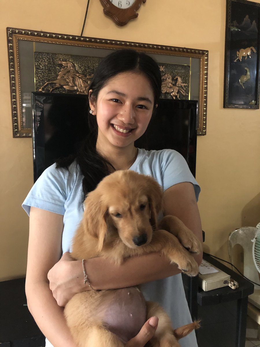 kaori_oinuma's tweet photo. 🐶🐶🐶 https://t.co/2Dx2HPXKSj