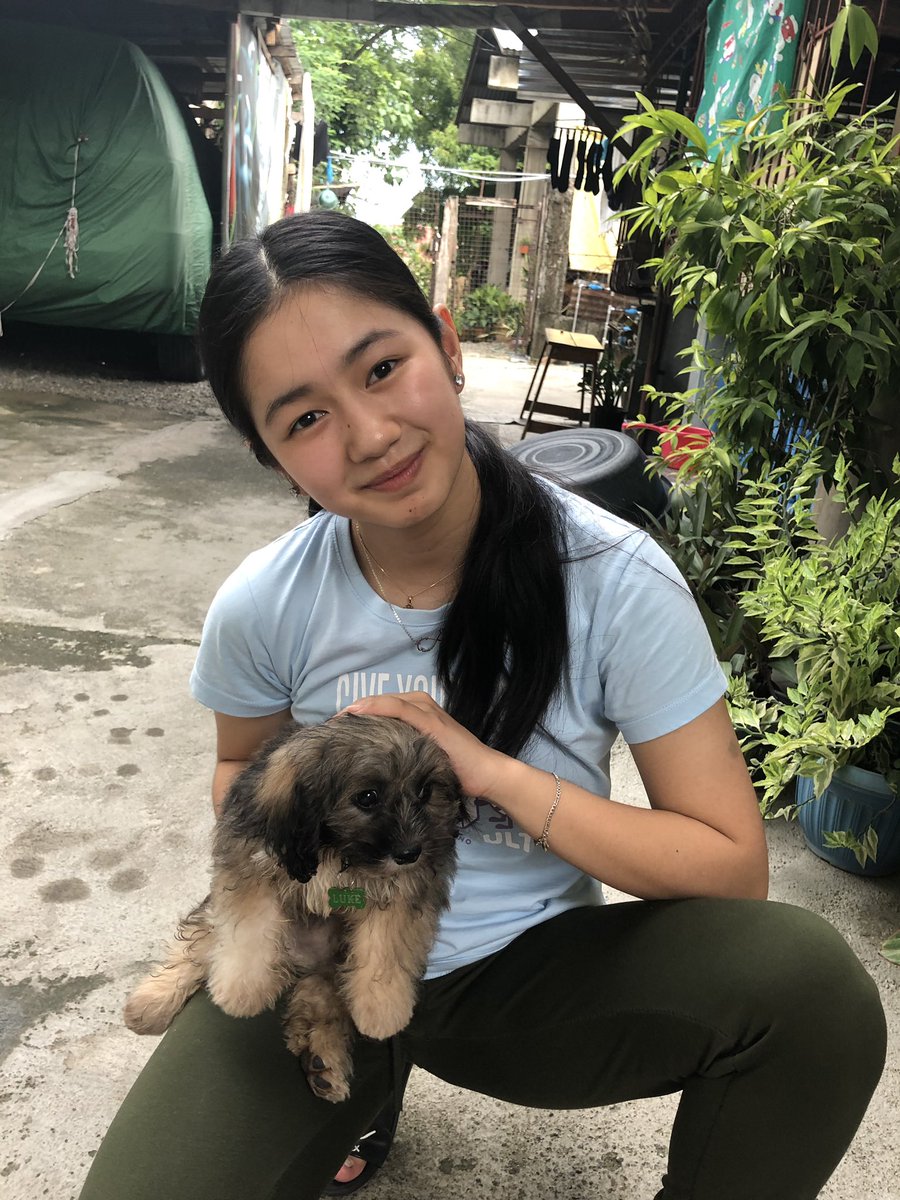 kaori_oinuma's tweet photo. 🐶🐶🐶 https://t.co/2Dx2HPXKSj