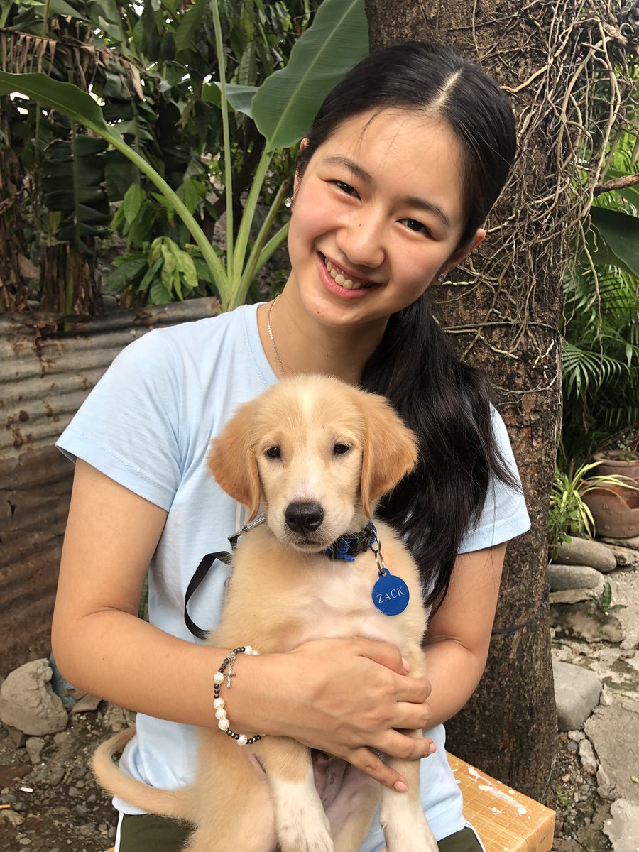 kaori_oinuma's tweet photo. 🐶🐶🐶 https://t.co/2Dx2HPXKSj