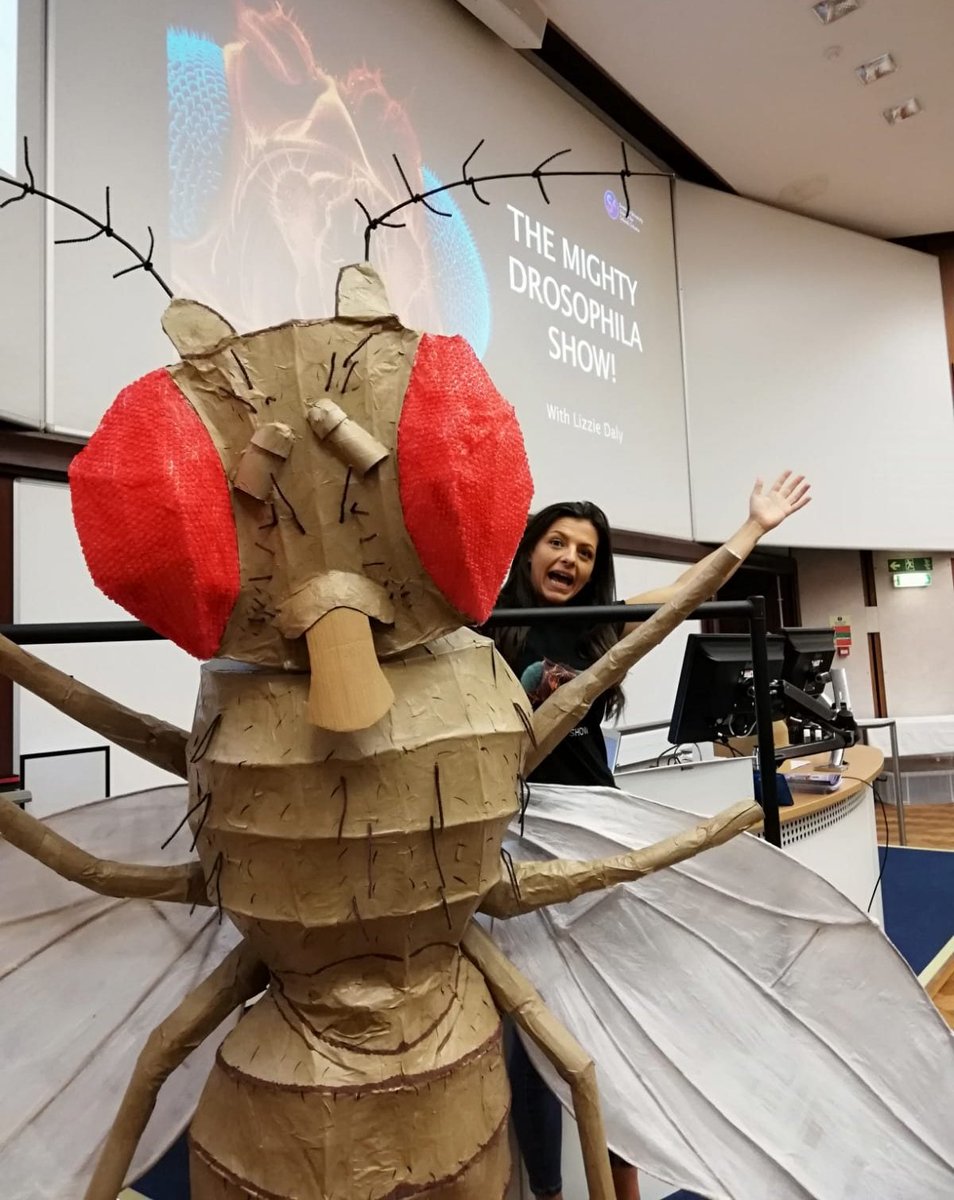 swansci4's tweet photo. Welcome @UpperAfanFed @CefnHengoed to today's S4 summer science show, The Mighty Drosophila Show! Prepare to meet some amazing critters! #themightyflyshow https://t.co/Kh7hf4eB4M