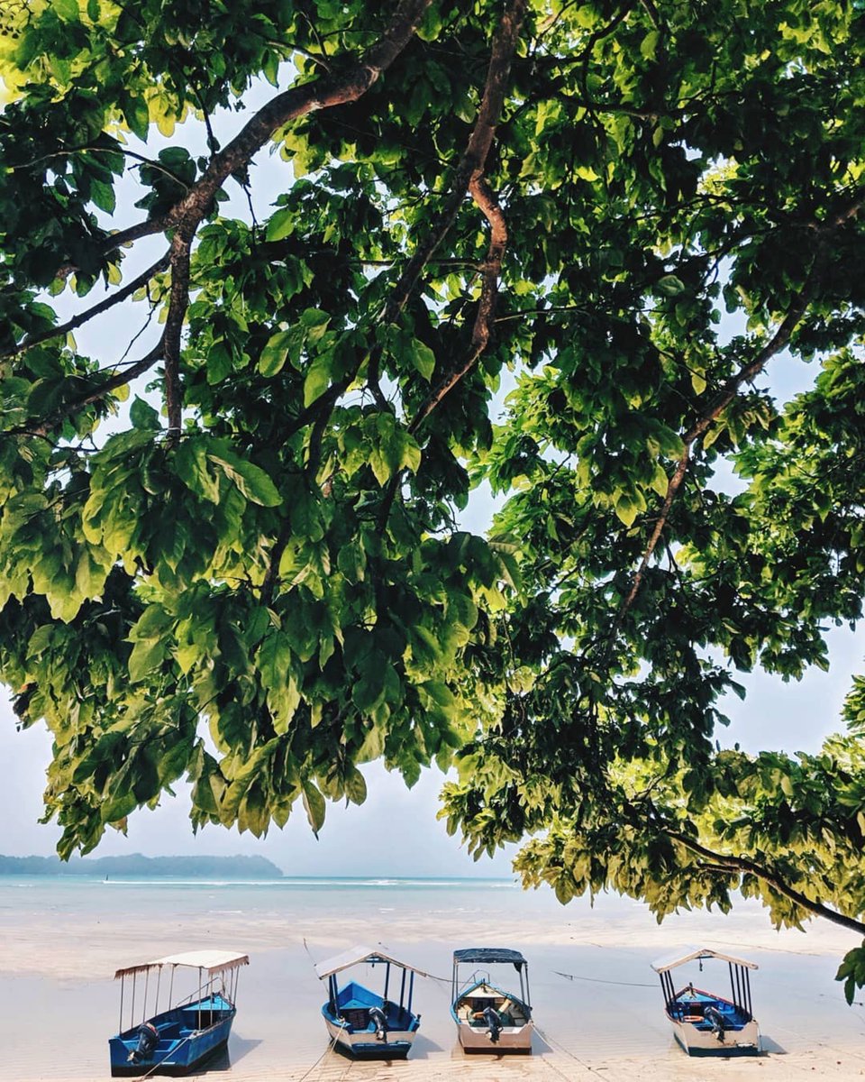 BarefootAndaman's tweet photo. Postcard from a surreal location: Neil Islands in the #Andamans!π
Image via #theseraishutterbugcontest: Earnest Edison
#TuesdayThoughts #Travel #Photography #Island #IncredibleIndia #Holiday https://t.co/zygXSB7hZn