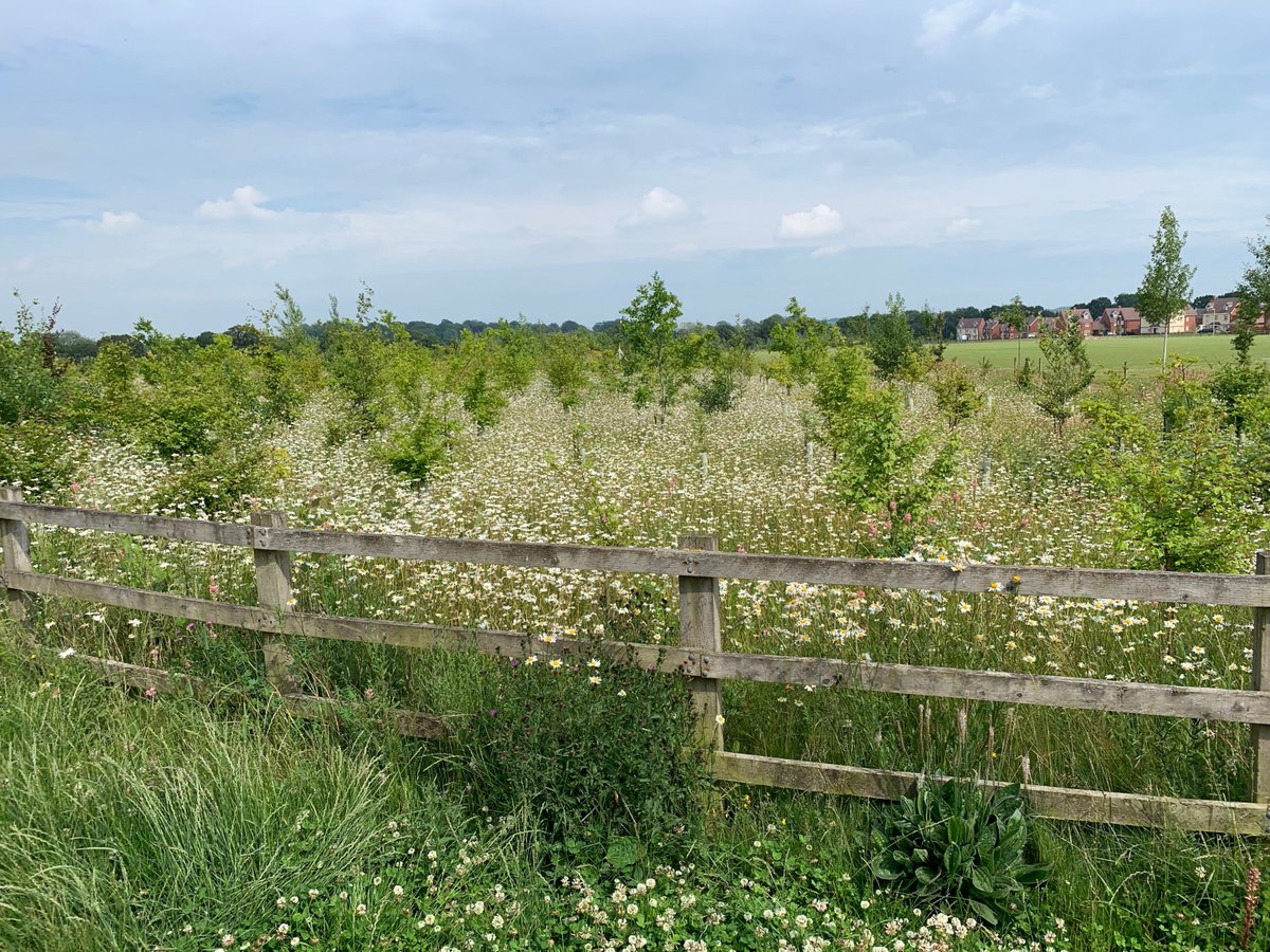 Test Valley BC tweet media