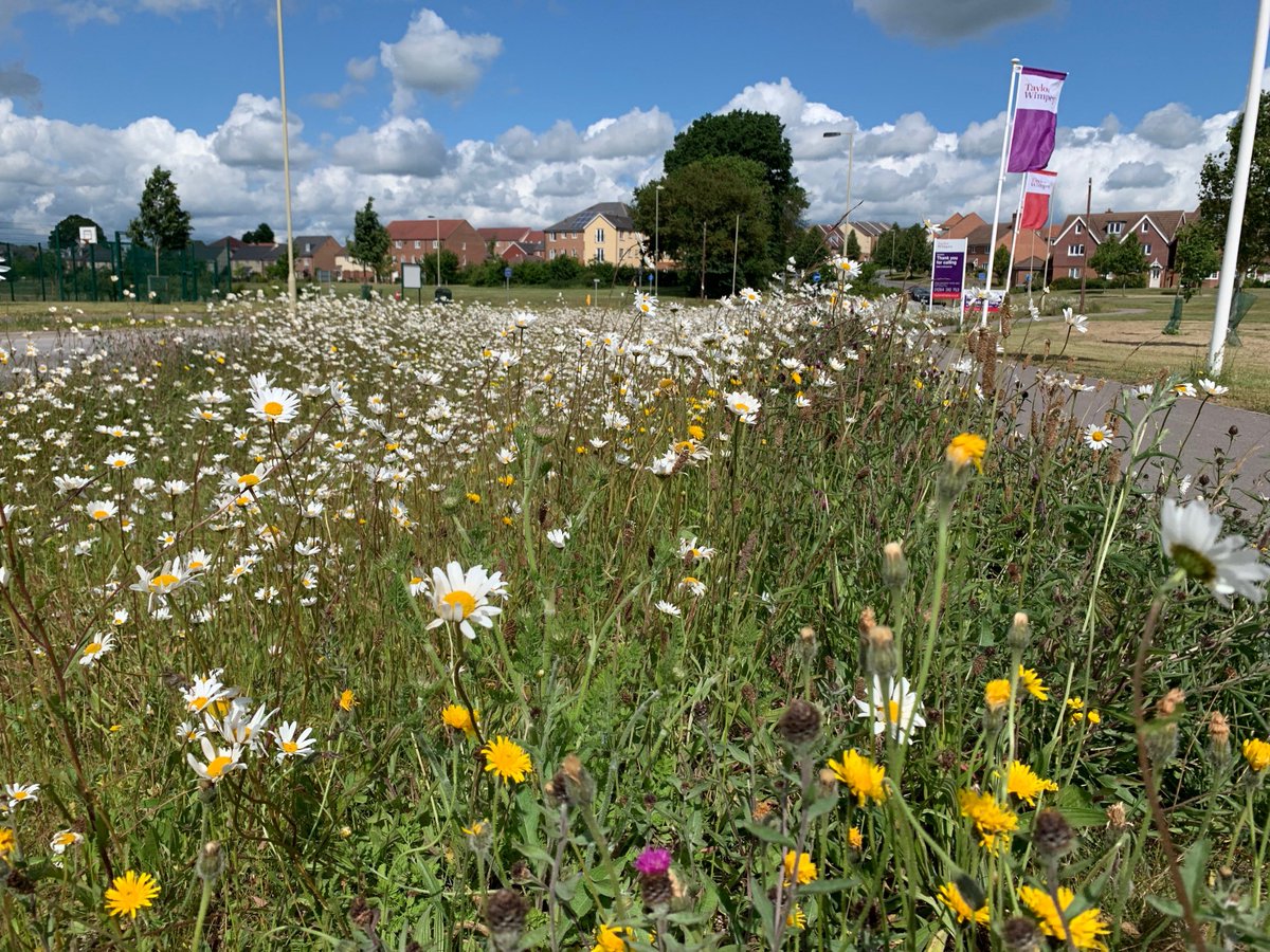 Test Valley BC tweet media