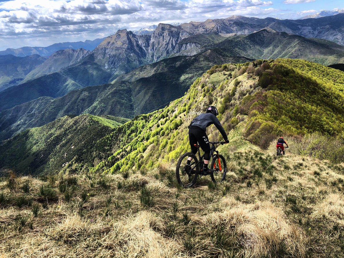 Richard Wilford tweet media