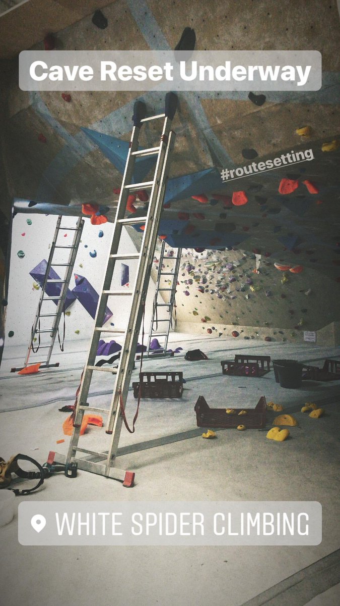 Spider Climbing tweet media